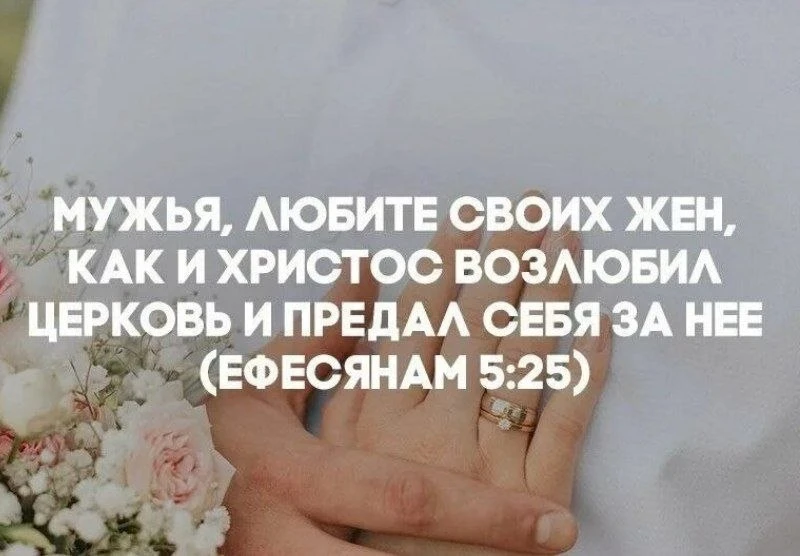 🕊🌼🕊🌼🕊🌼🕊🌼🕊
