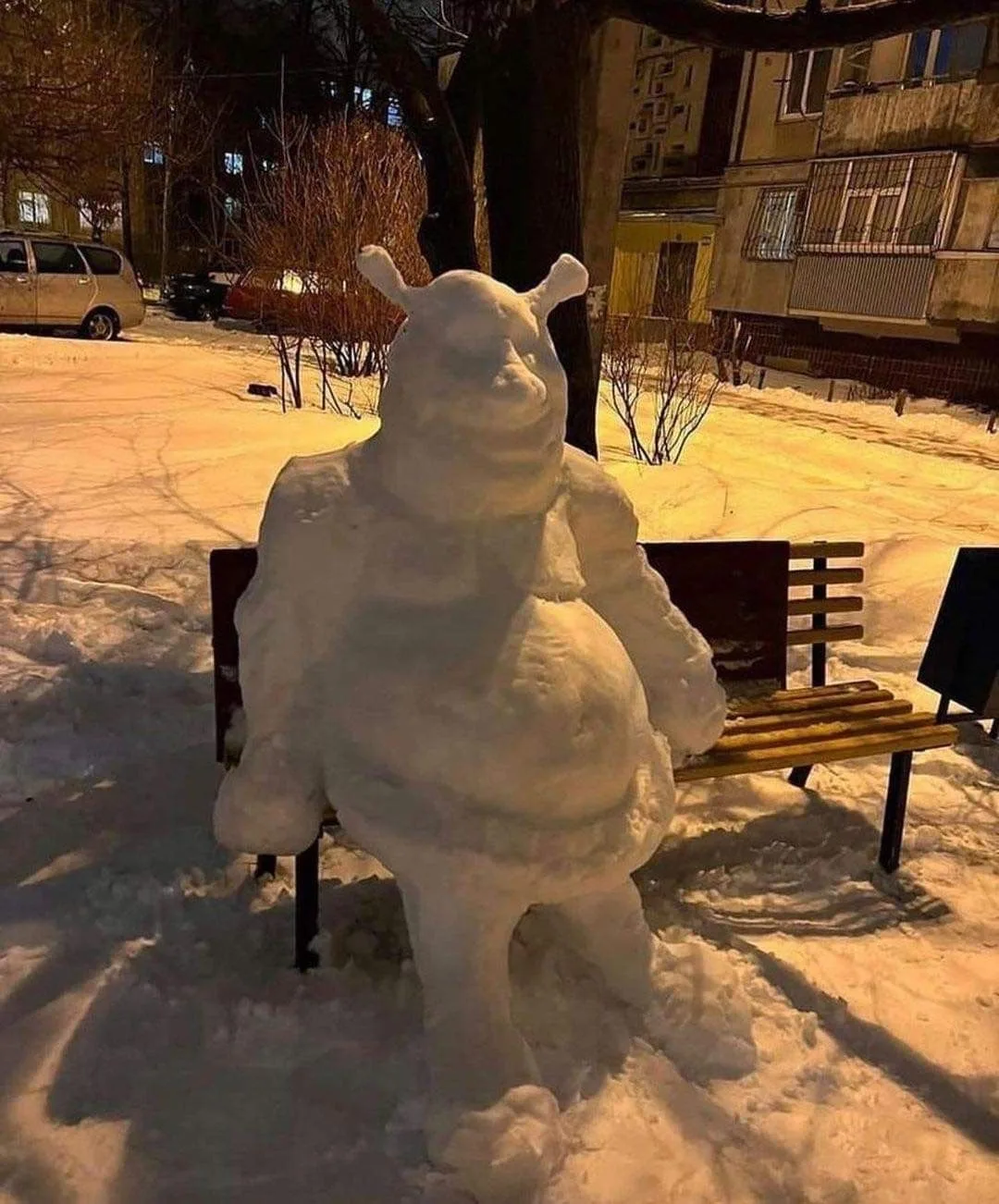 222 причина: зимой слепить Шрека из снега
