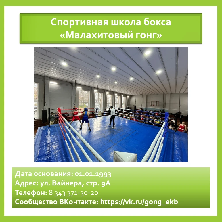 🥊 «Единство СПОРТа»: знакомимся со Спортивной школой бокса «Малахитовый гонг»!