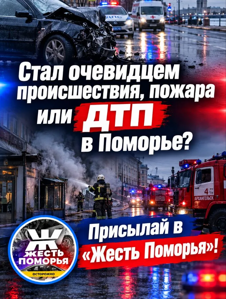 Напоминаем в нашем канале работает Предложка