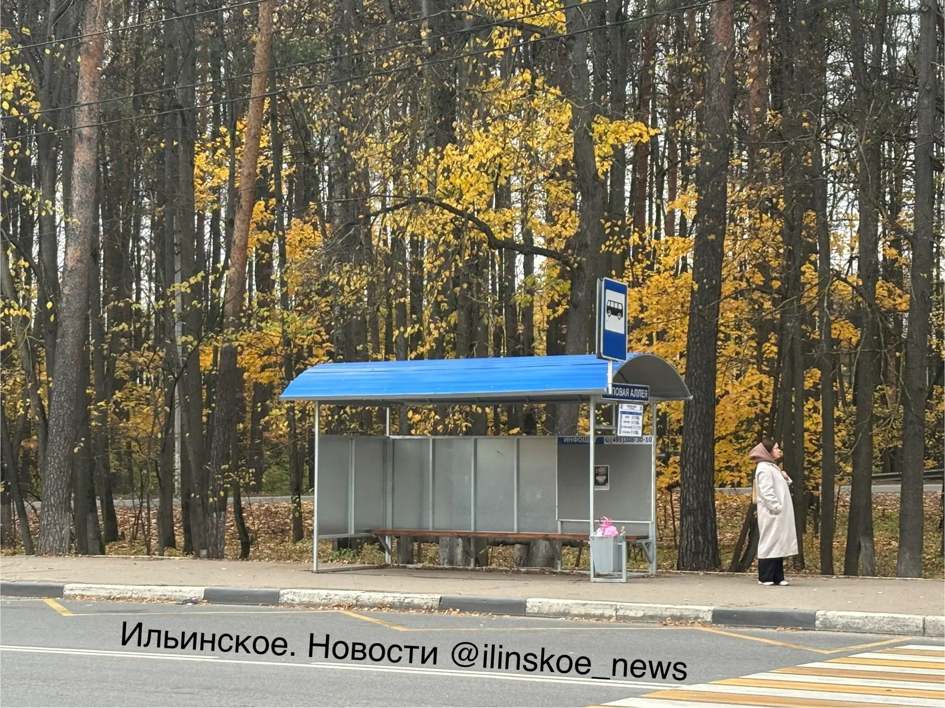 🚏 На Ильинском шоссе устанавливают новые остановочные павильоны
