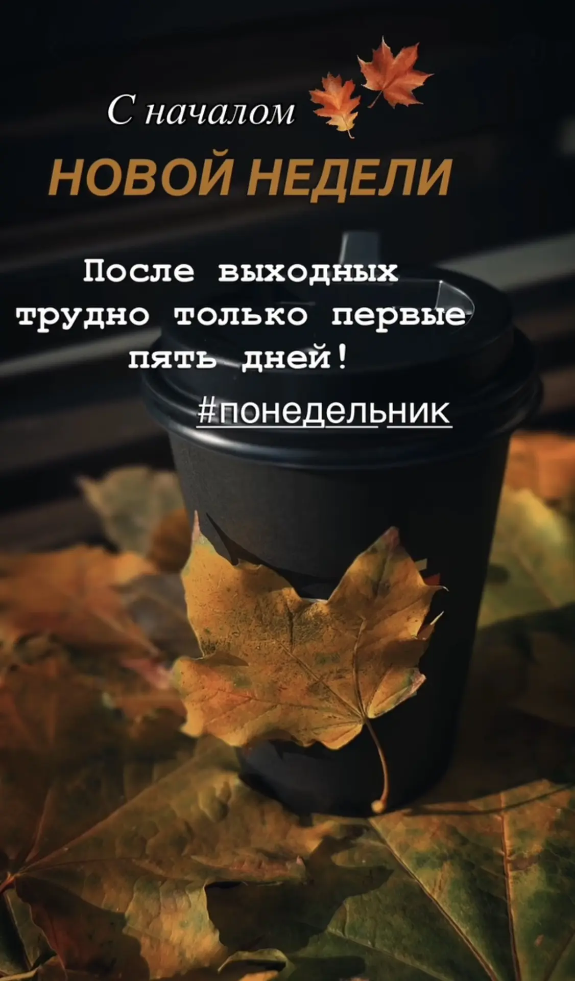 Всем привет!