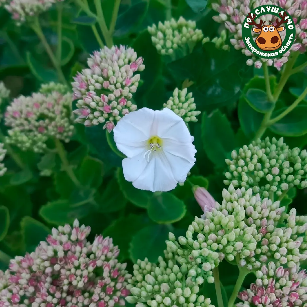 😊 Доброе утро, друзья!