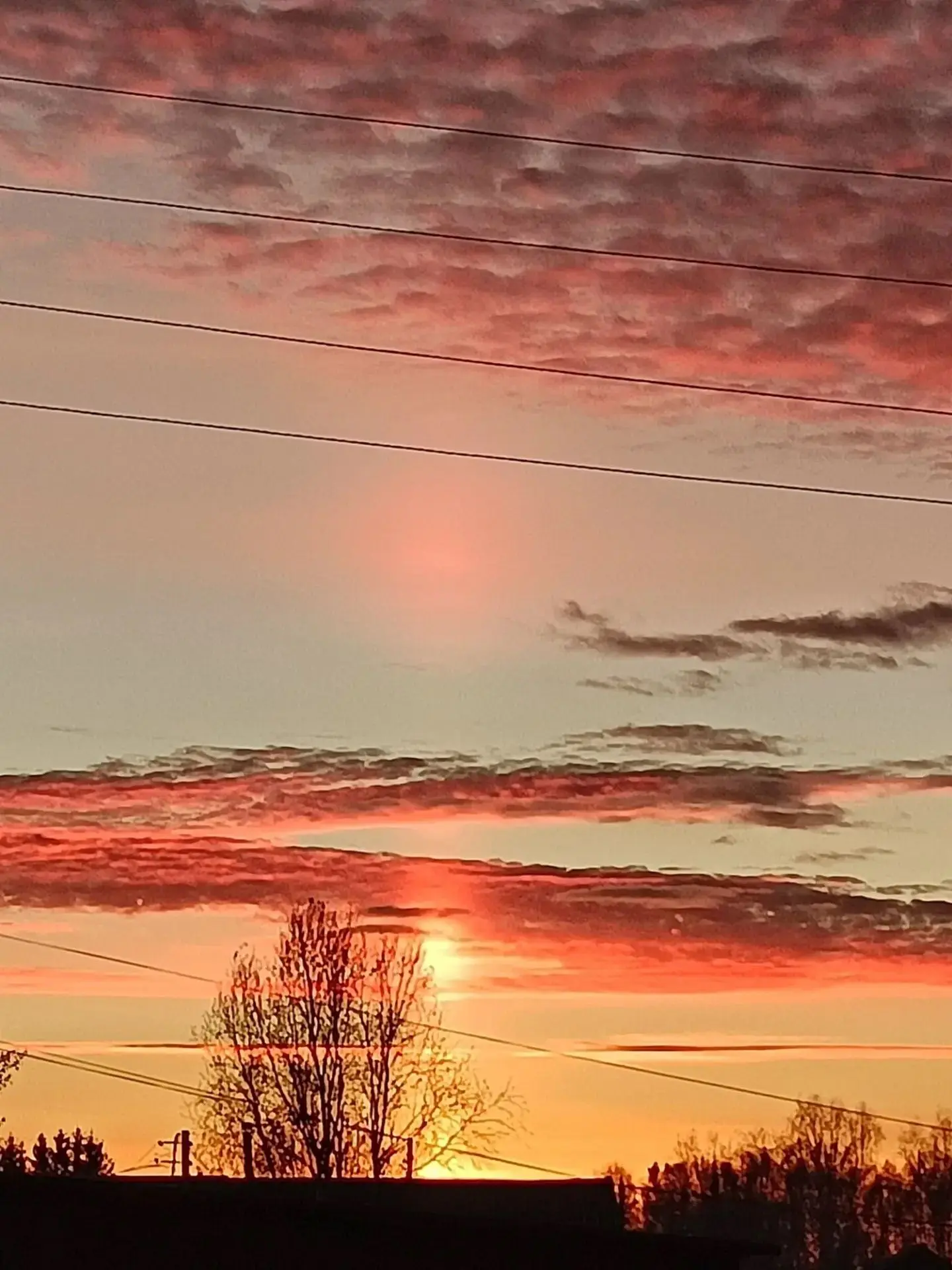 ☀️ Доброе воскресное утро!