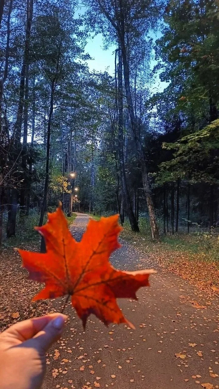 Доброе осеннее 💕