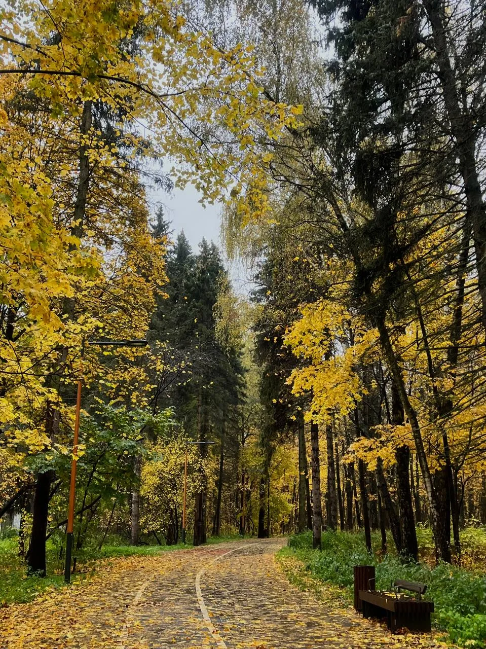 Осень 🍁🍂