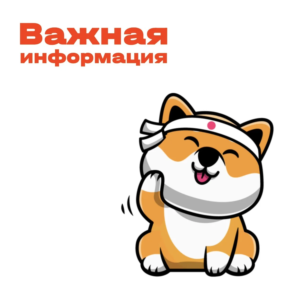 Сайт и приложение работают, и вы можете оформлять заказы в обычном режиме 🧡