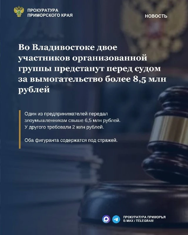 ⚖️ Во Владивостоке судят двух вымогателей на 8,5 млн рублей