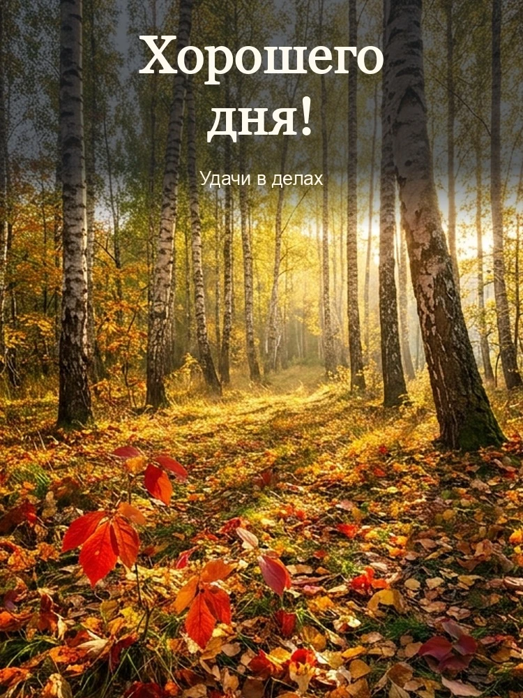 Хорошего дня!