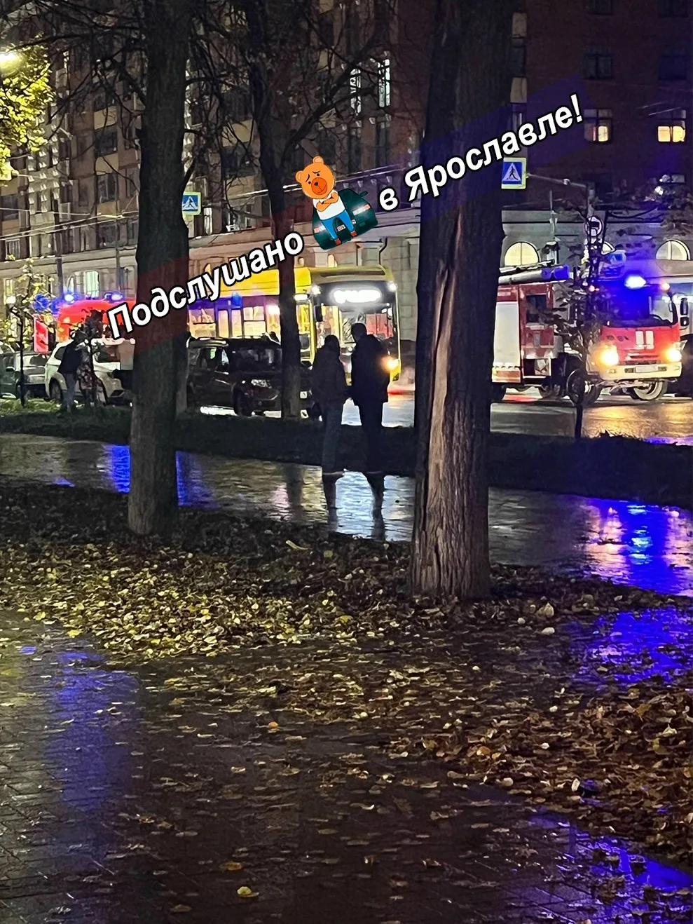Сбили велосипедиста на Свободы / Лисицына.