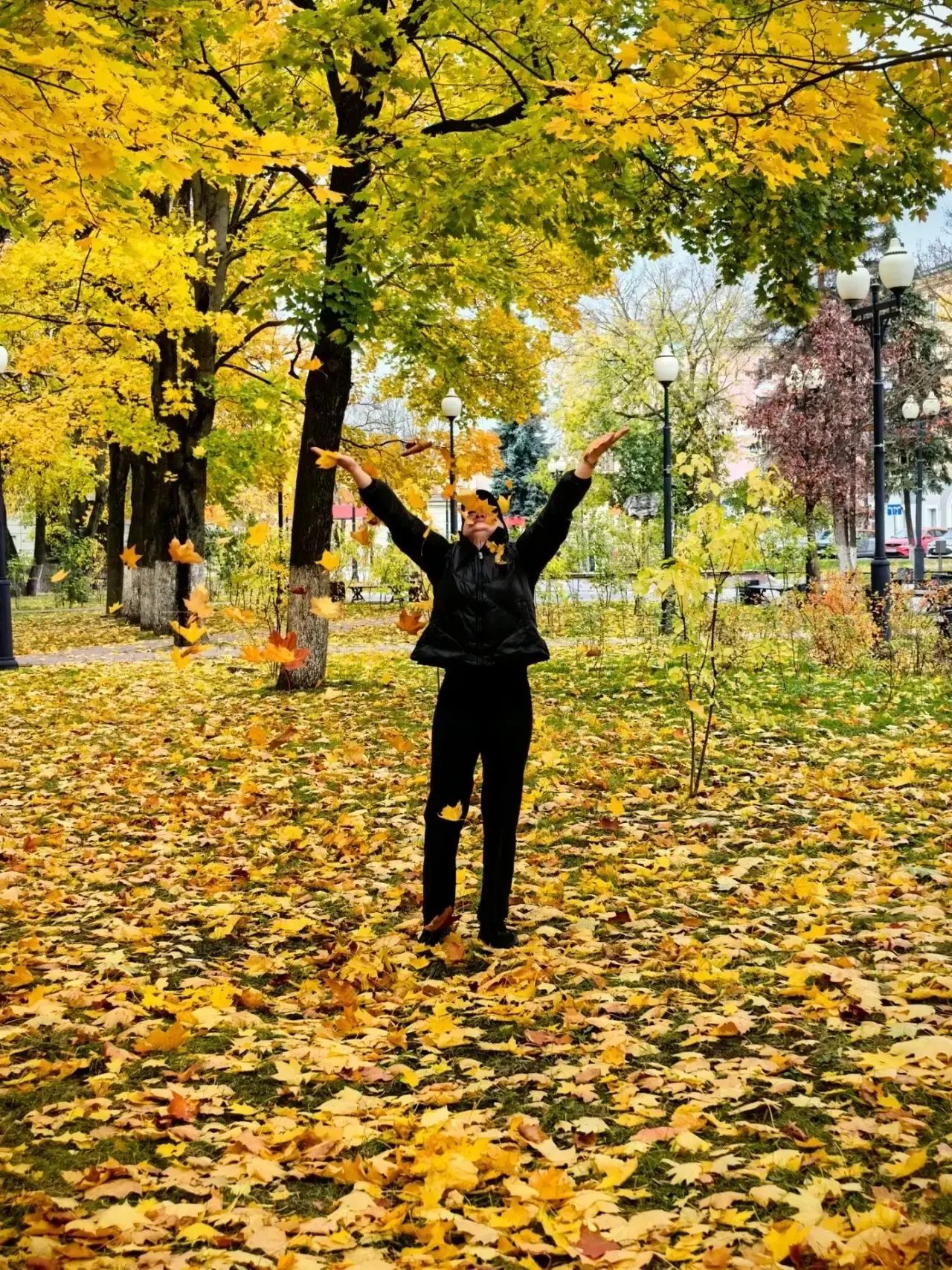 ОСЕННИЕ 🍁 ПРОГУЛКИ