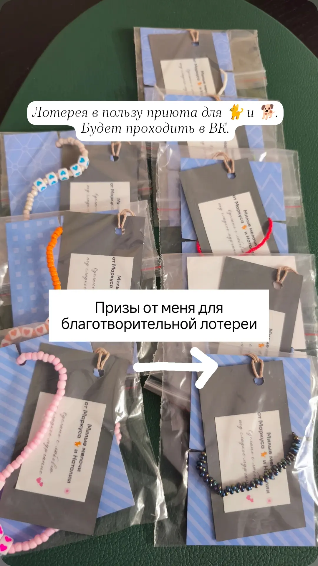 Приют "Кошкино царство"