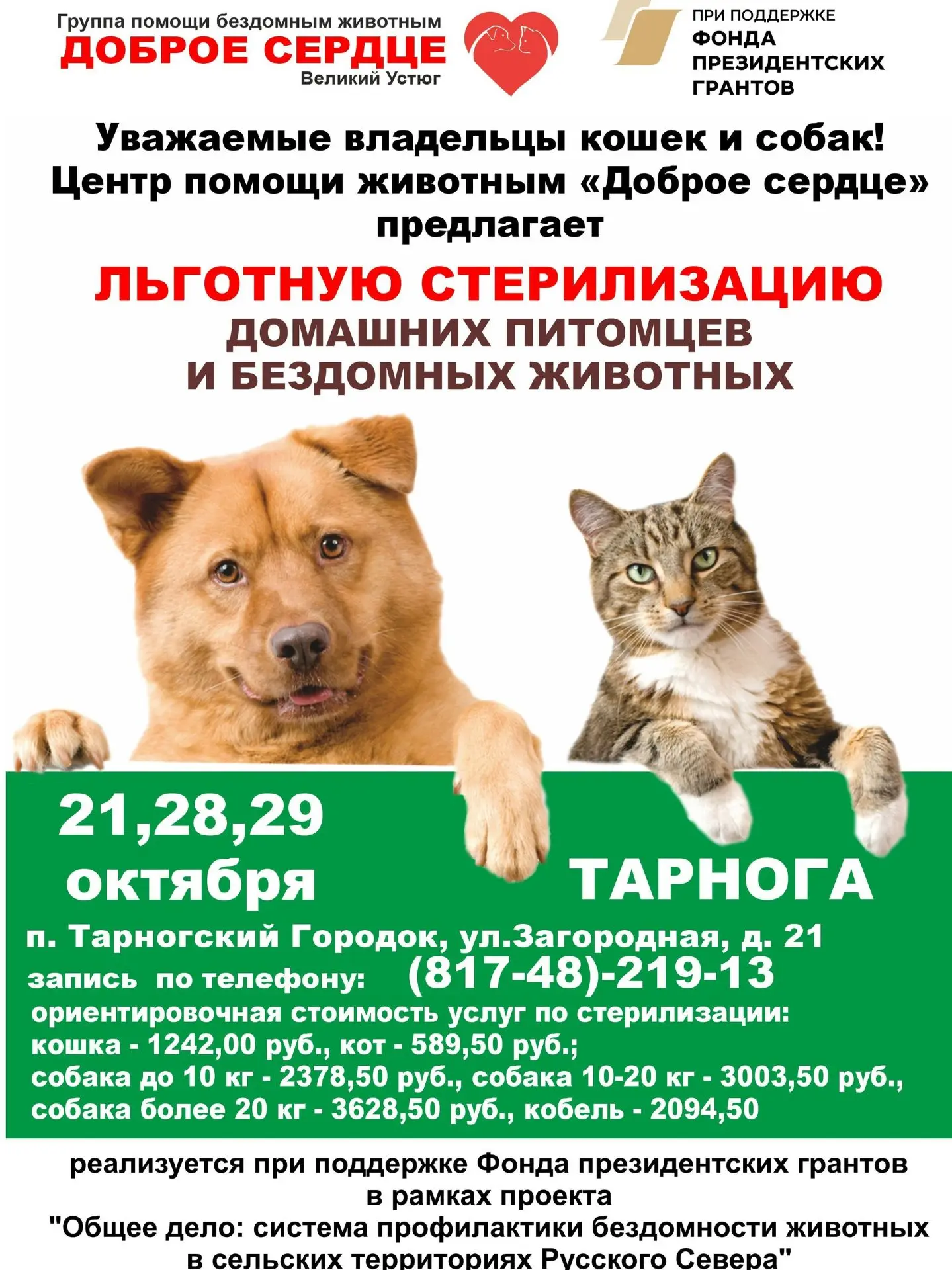 Предлагаем владельцам домашних животных Тарногского округа льготную стерилизацию кошек ...