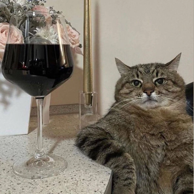 🍷 Екатеринбурженка отсудила компенсацию у гипермаркета за безуспешные походы за вином.