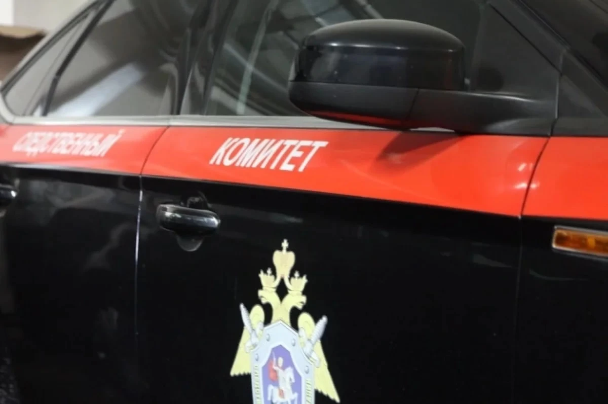 В Петербурге 19-летний юноша зарезал свою мать