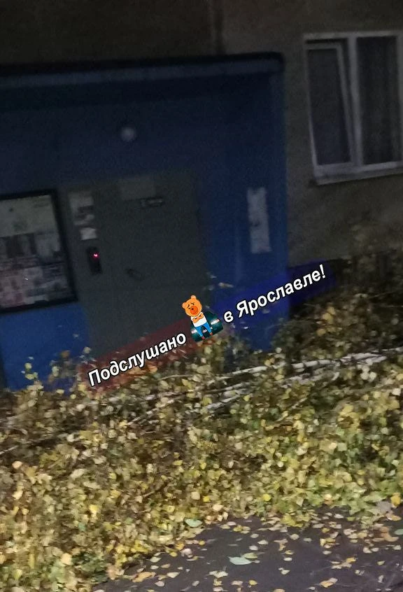 Подписчица сегодня с трудом вышла из подъезда.