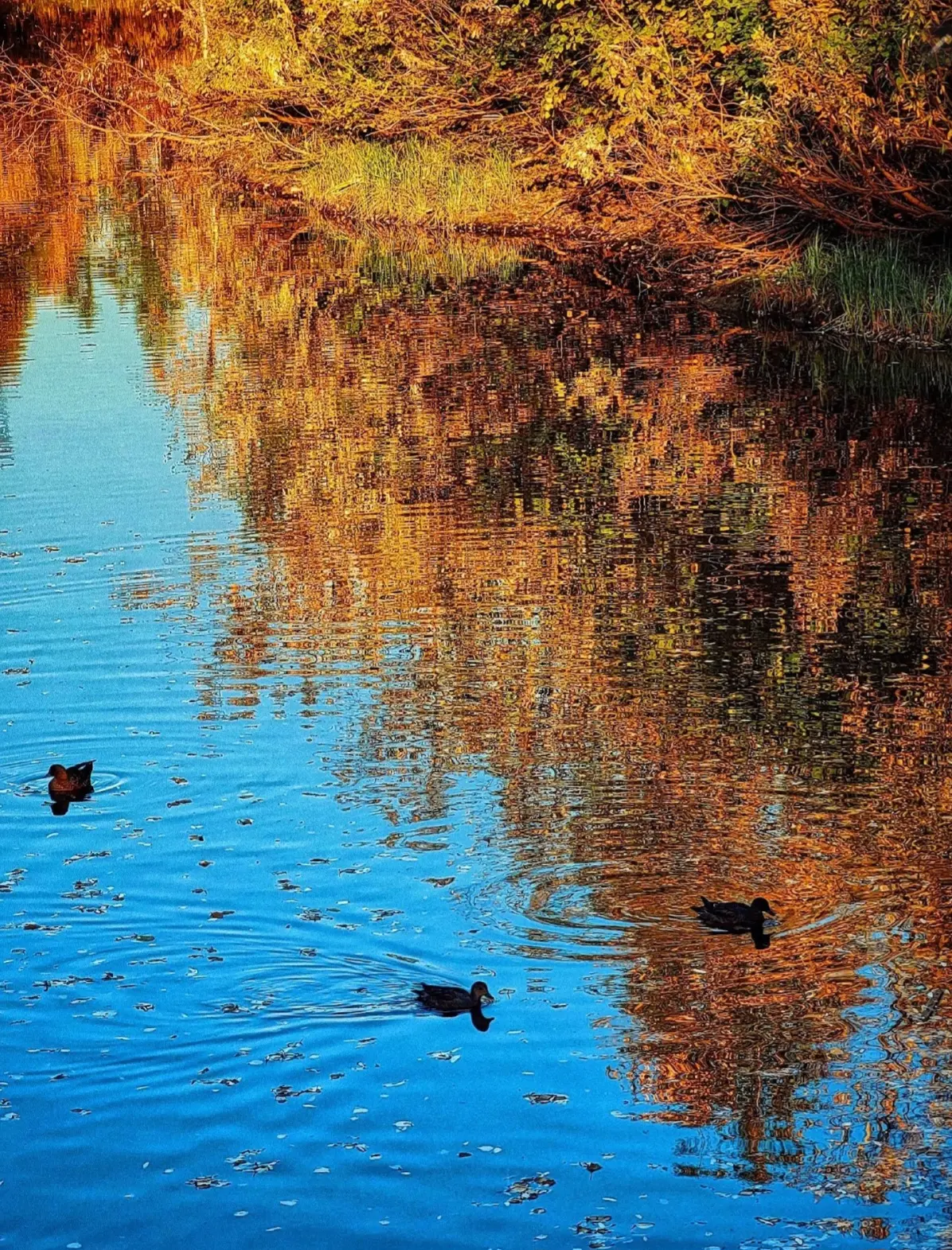 ☀️ В Новом Уренгое желают доброго октябрьского утра