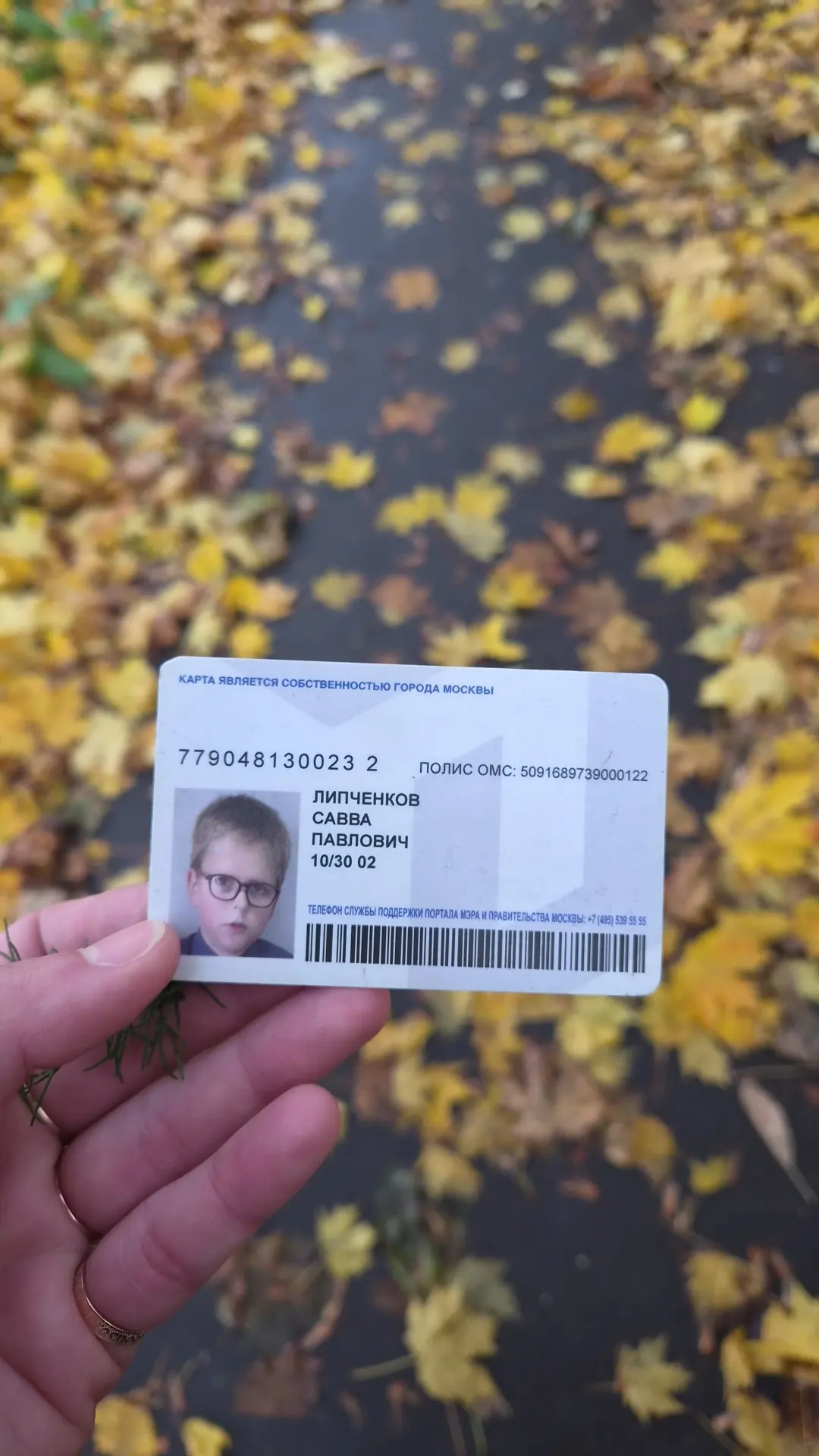 Добрый вечер!
