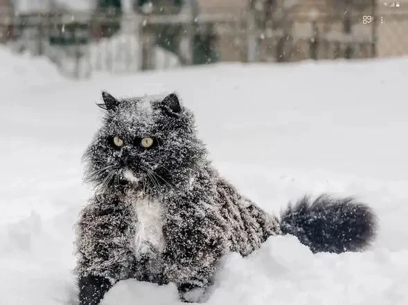 Тульская область готова к зиме ❄️