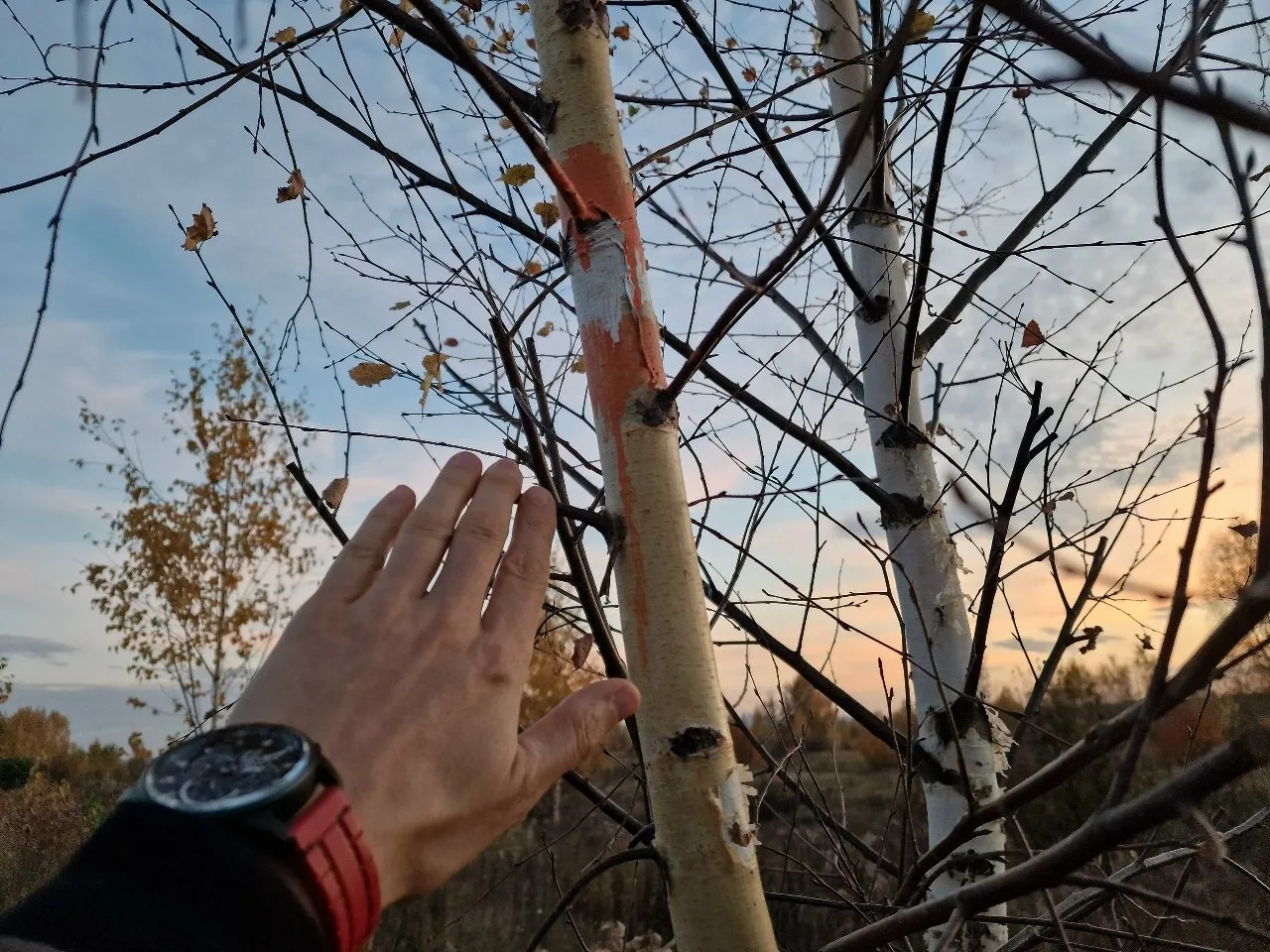 Разгул преступности на Бору! Теперь обнаглевшие закладчики прячут по углам новые модели...