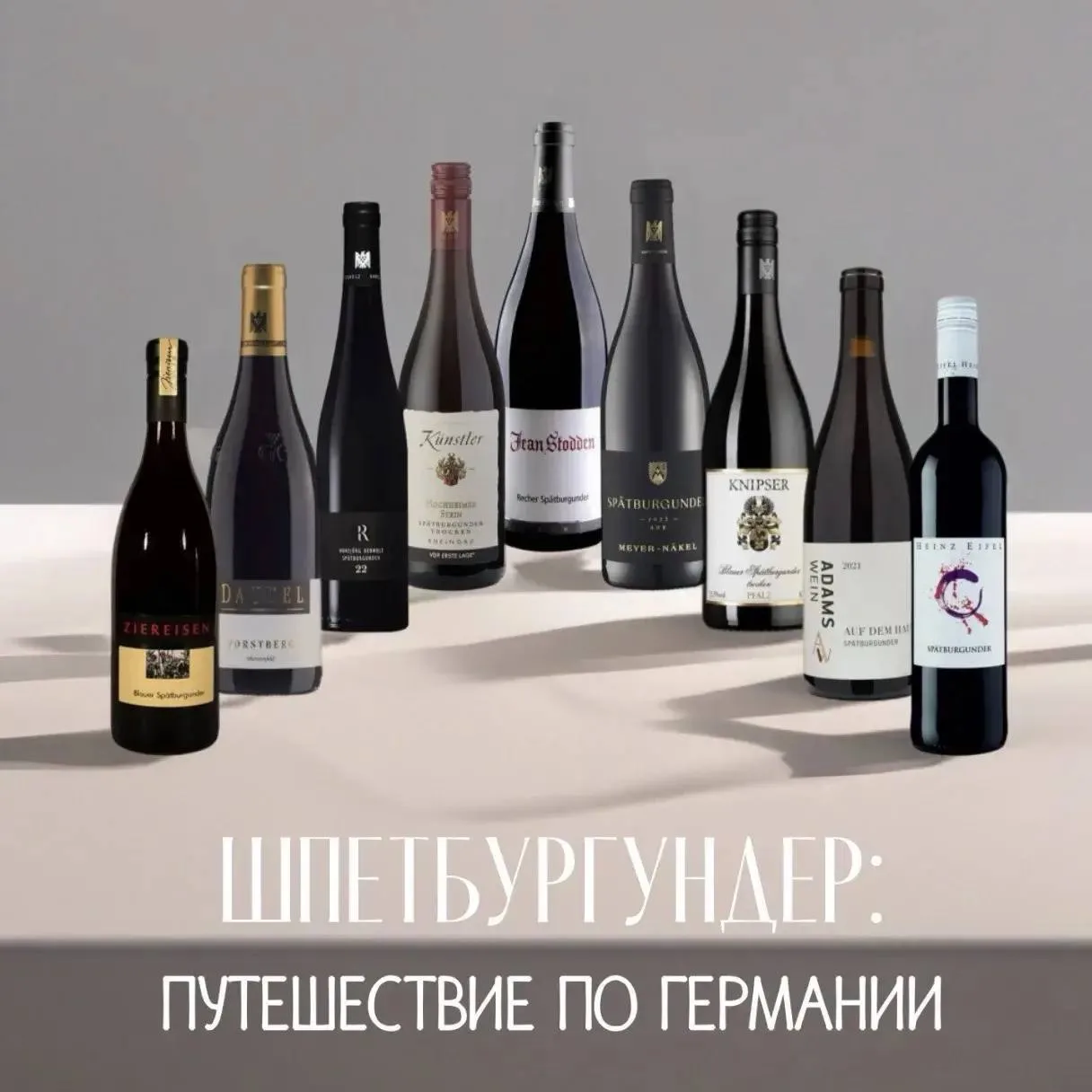 Команда WineHelp приглашает вас на дегустацию, посвящённую красной жемчужине Германии —...
