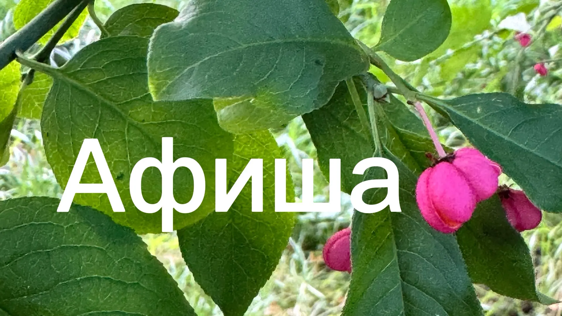 🗣️Театрализованное огненное представление «Рагнарёк» 6+