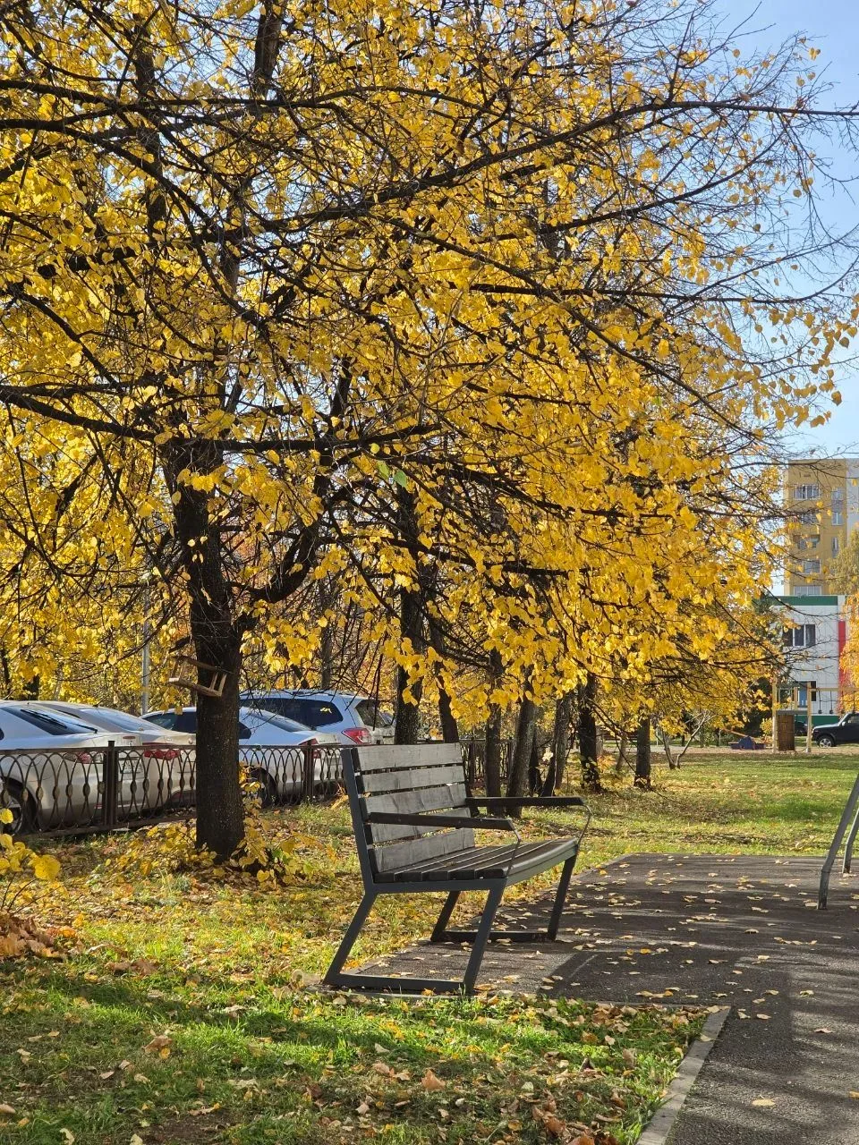 Доброе осеннее утро