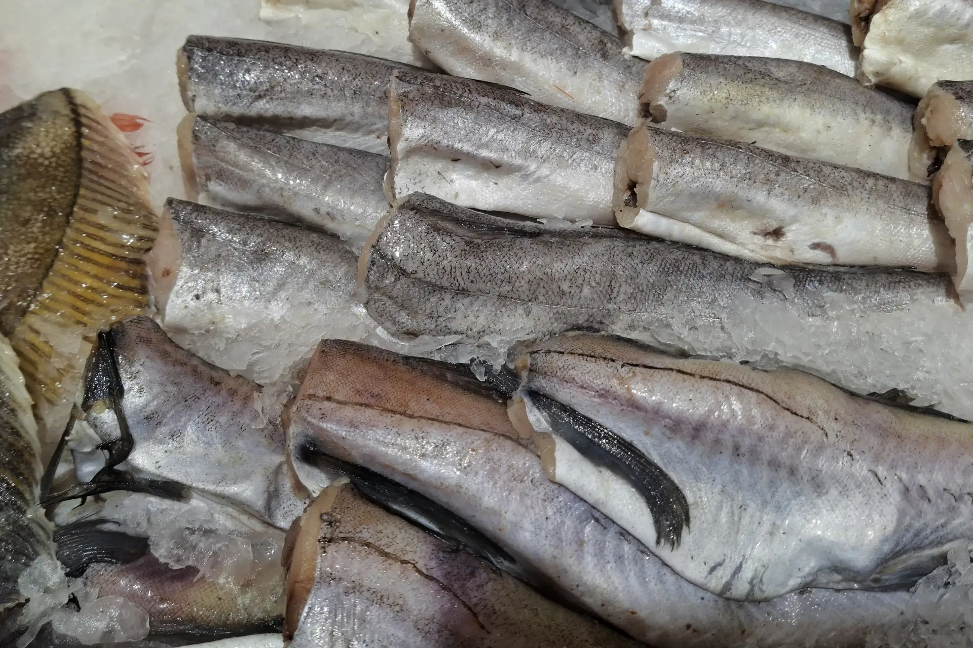 В Петушинском районе из оборота исключили более 821 тонны рыбной продукции