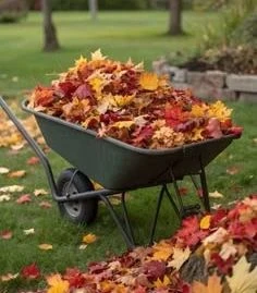 Октябрьский субботник🍁🍂🍁