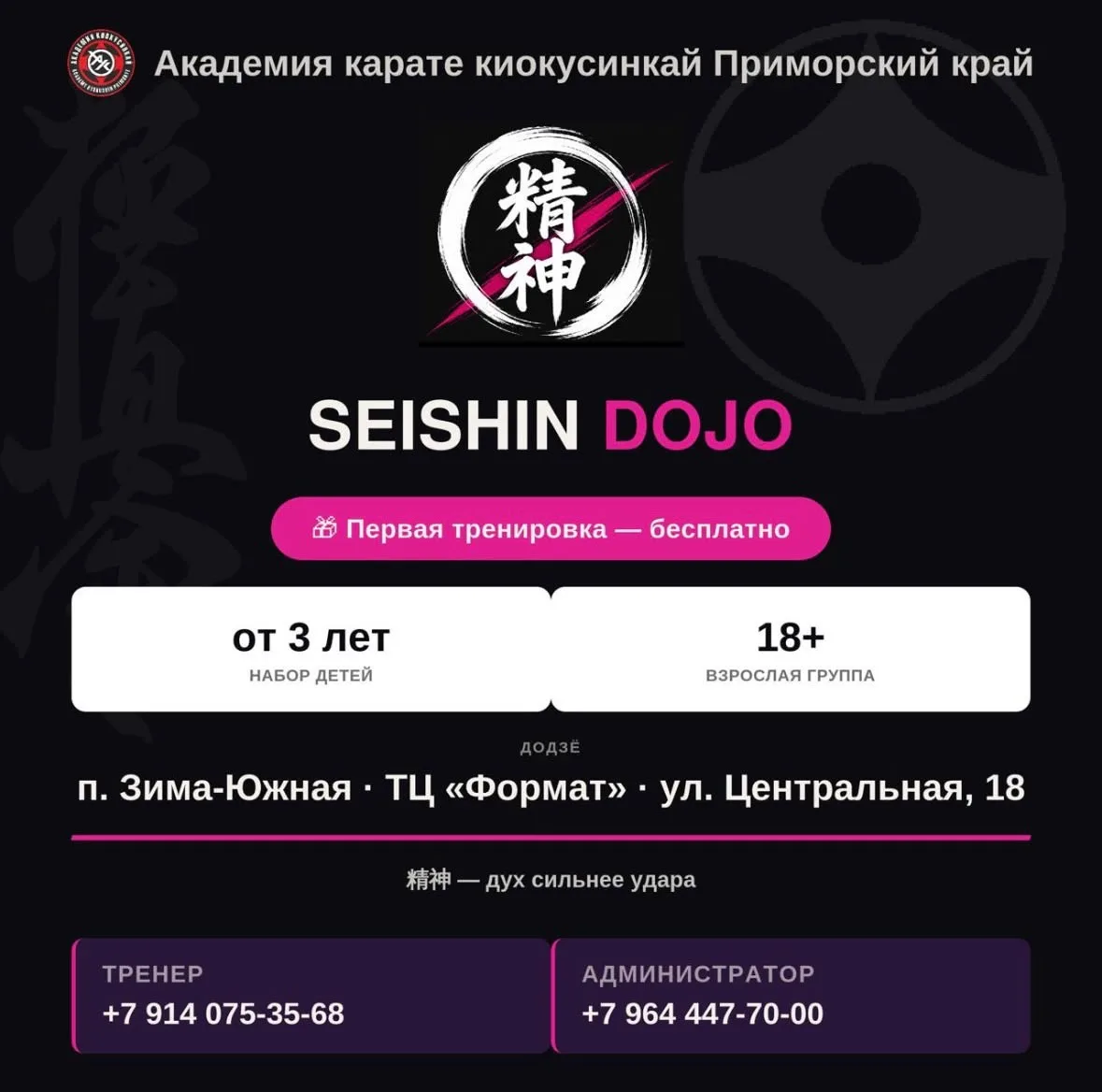 🔥 Раскрой силу и дисциплину в Seishin Dojo! 🔥