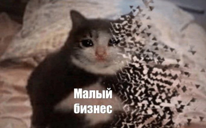 Малый бизнес в большой беде?
