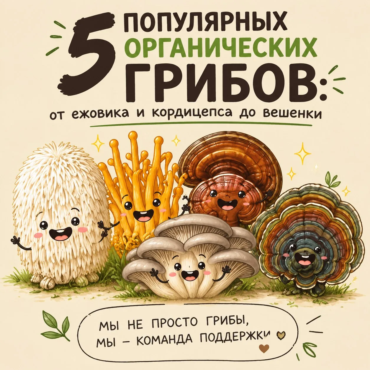 🌱 ОРГАНИЧЕСКИЕ ГРИБЫ: ПОЧЕМУ НУТРИЦИОЛОГИ СОВЕТУЮТ ИХ ВМЕСТО СИНТЕТИЧЕСКИХ ДОБАВОК