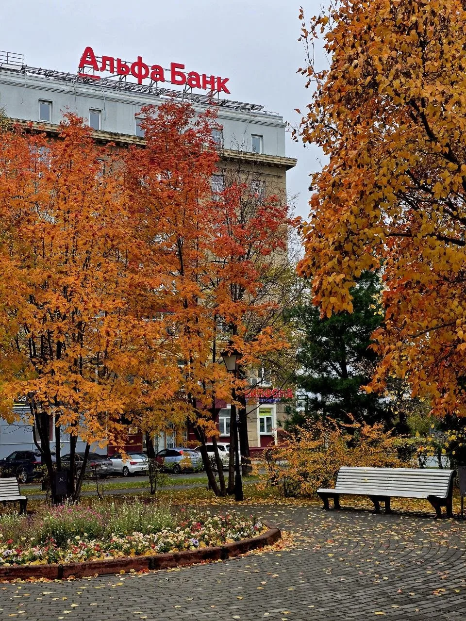 ☔️ Дождливый осенний Новосибирск