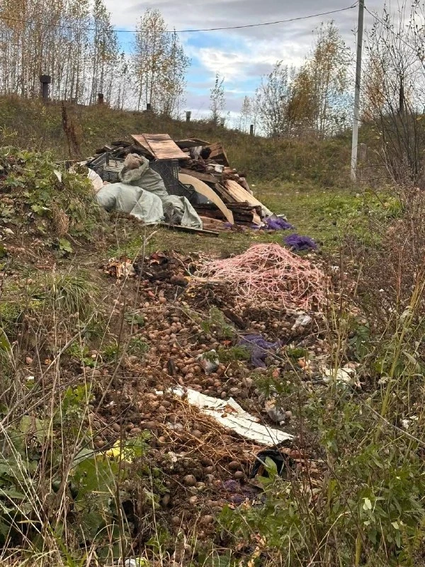 🌳 Свалка у овощных ям вышла из-под контроля