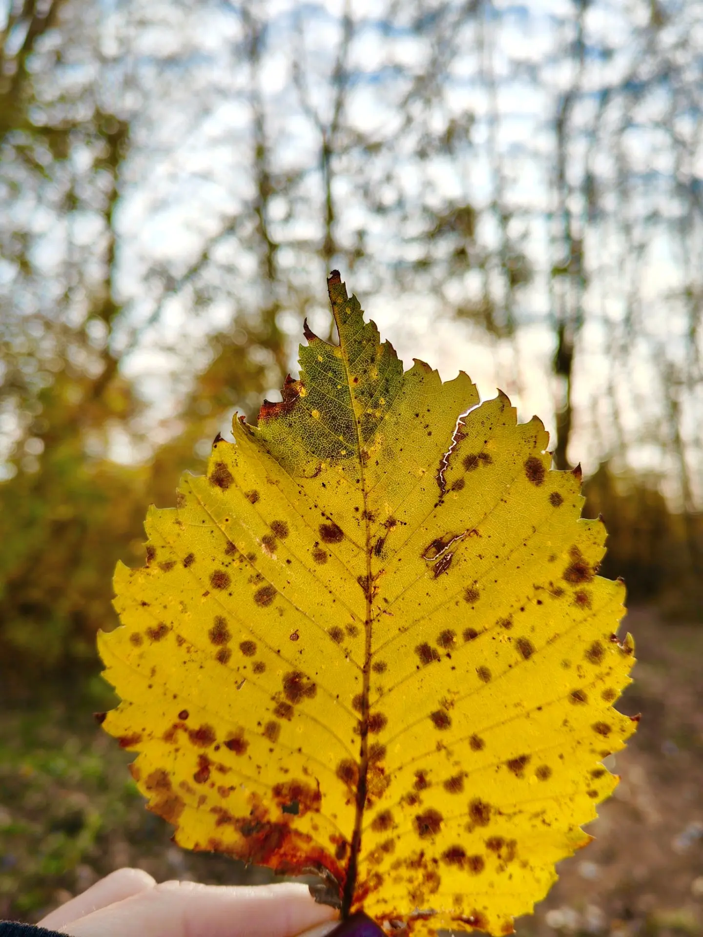 🍂 Кинель, с началом новой трудовой недели! Встречаем понедельник подборкой ярких кадро...