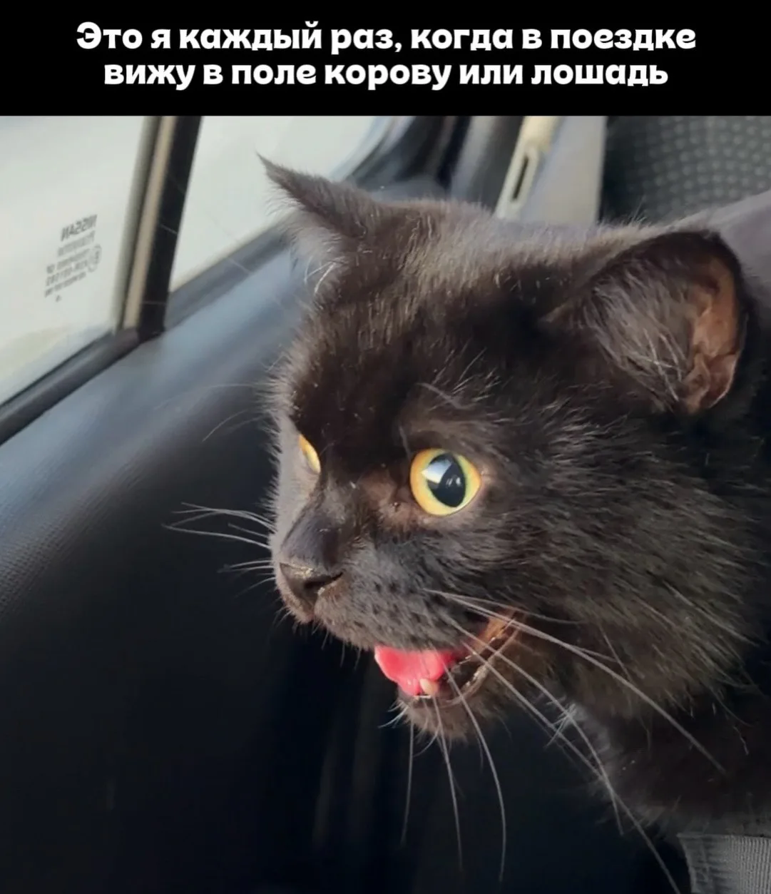Подпишись на юмор 😂
