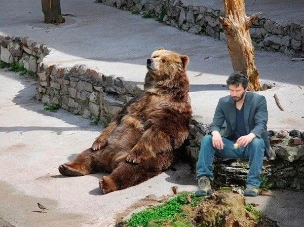 Вот такая фигня, собачка