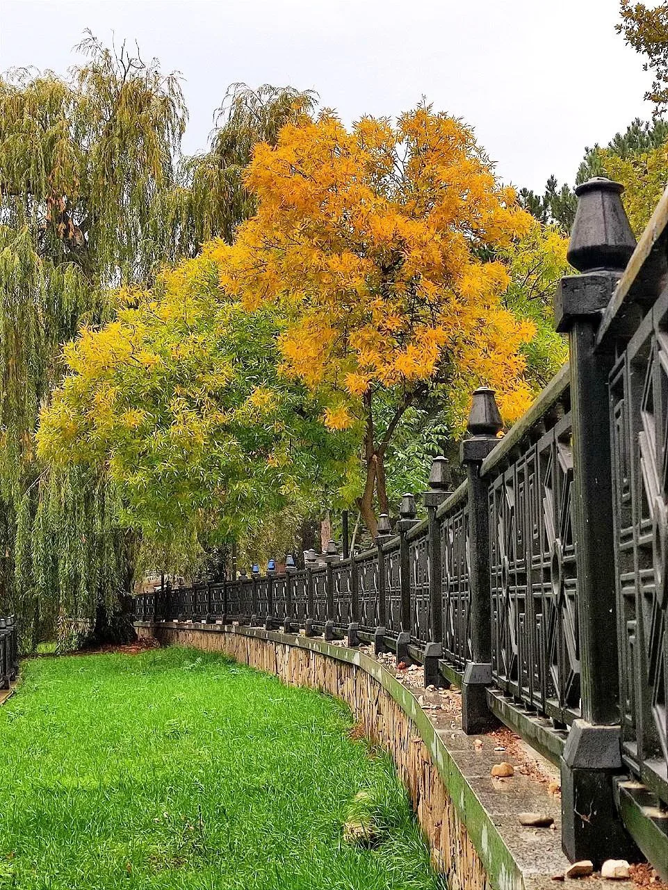 🍂 Осень на Салгире — это золото парков и меланхоличная красота. Сложно поверить, что э...