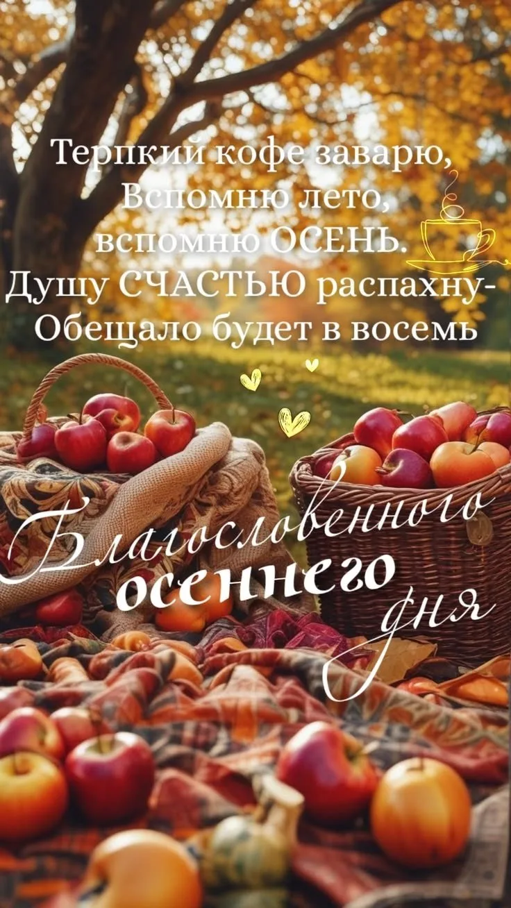 🥰 Оставляйте реакции, если понравилась открытка и делитесь с близкими ❤️