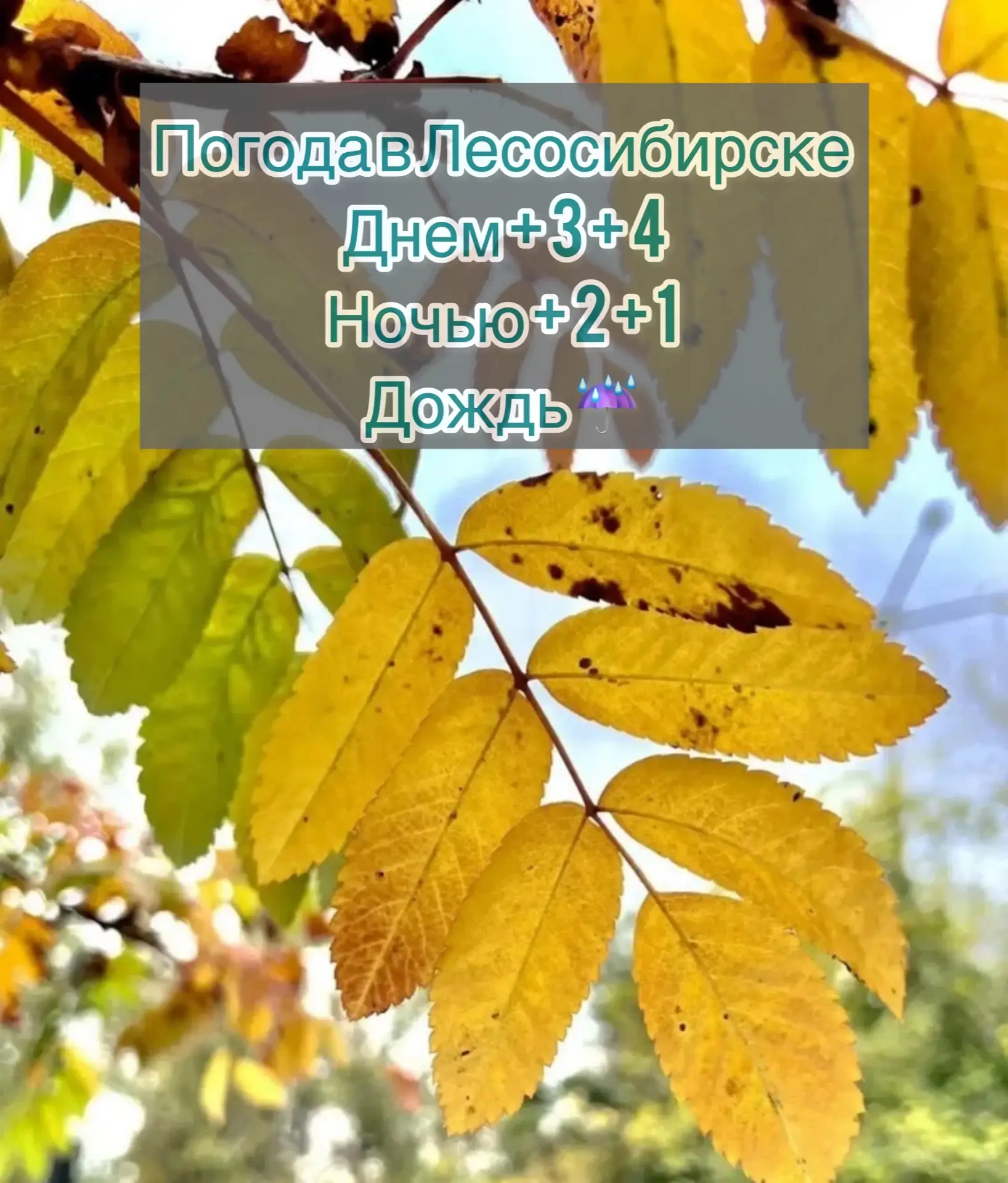 ☀️Доброе утро, друзья !