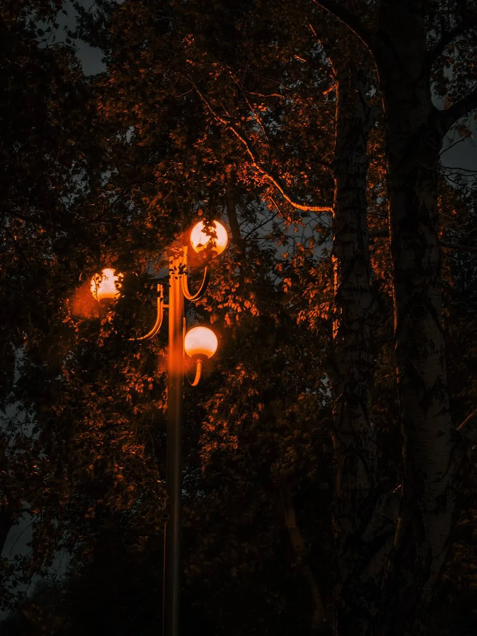Доброй ночи, Рубцовск 😴🌛