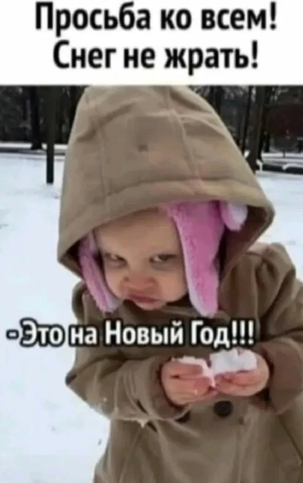❄️ Предстоящая зима в России может оказаться аномально тёплой и почти бесснежной — клим...
