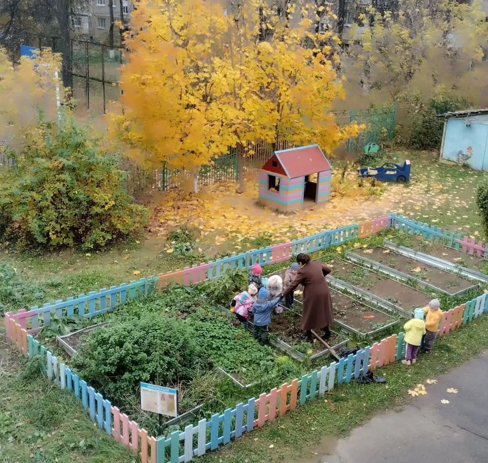 Дети из группы «Звёздочки» выкопали последние свёклу  и морковь 🫜🥕 и с удивлением рад...