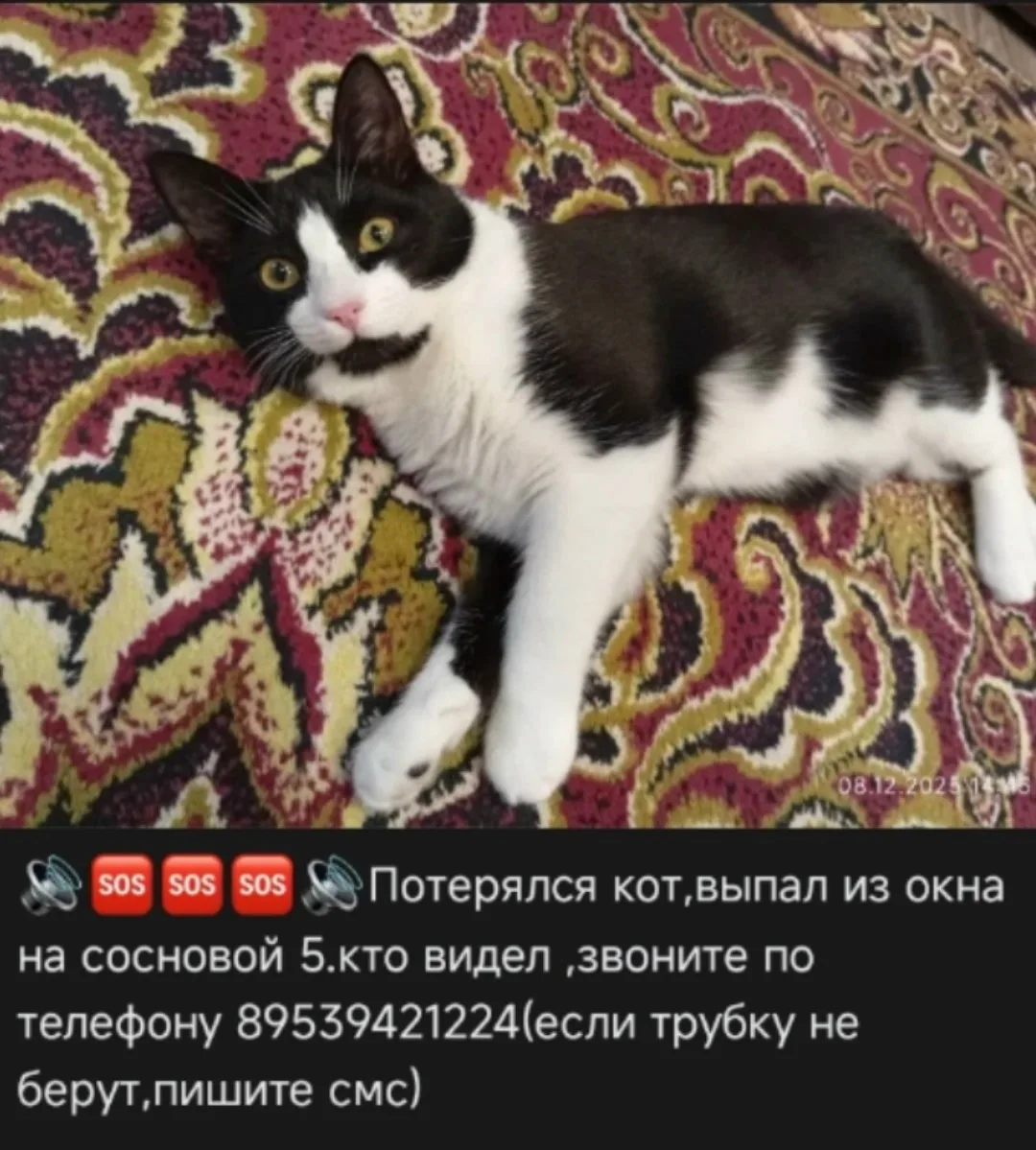 ВК - https://vk.ru/zchep
