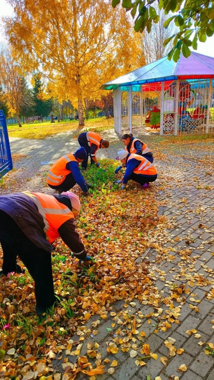 🍂 Город готовят к зиме
