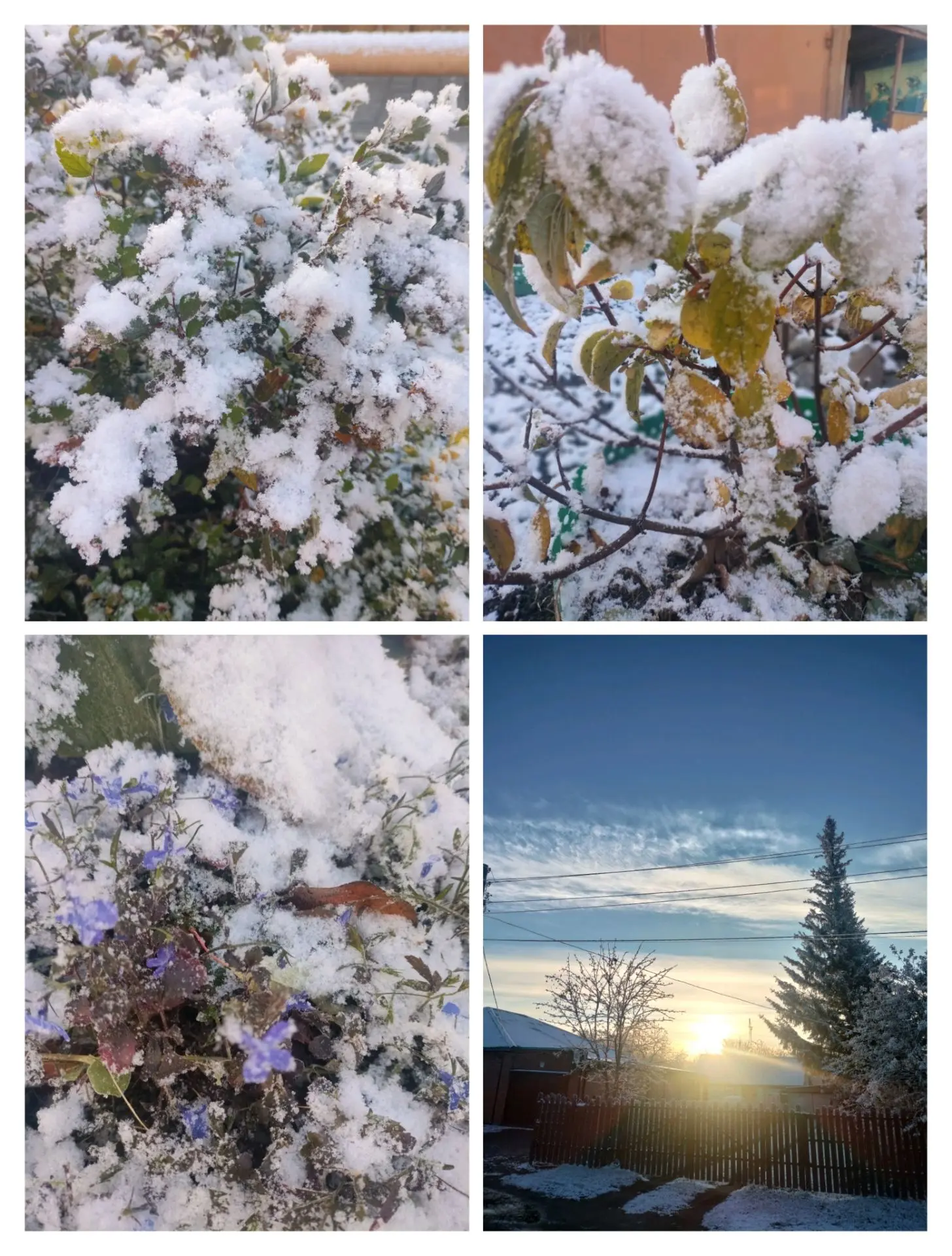 Утро🍁❄❄🍂