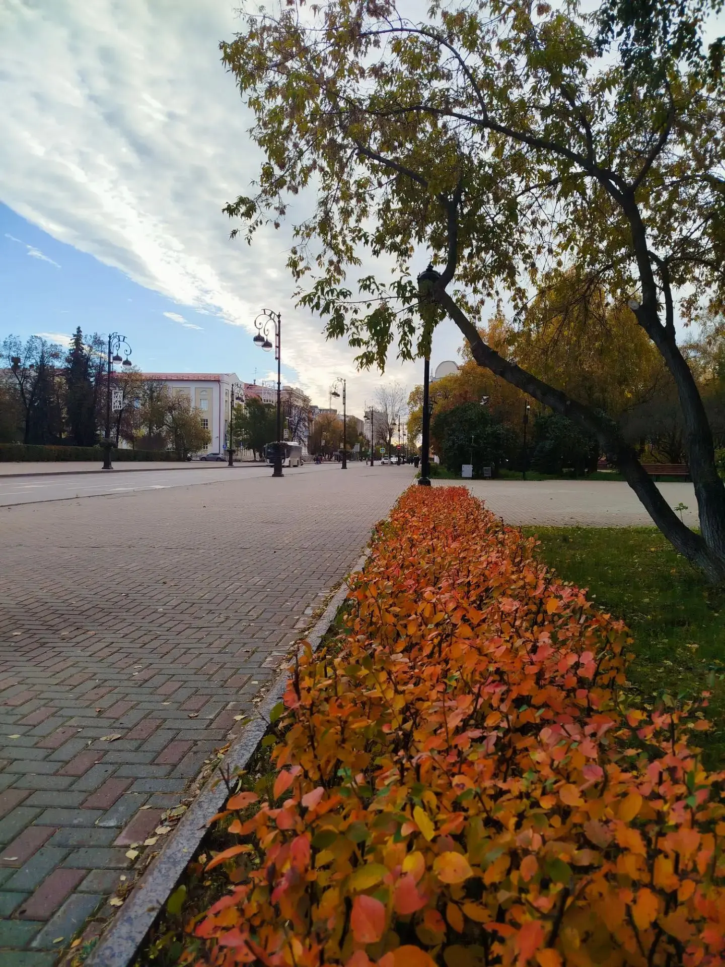 Осень в городе 🍂 Благодарим за фото Наталью