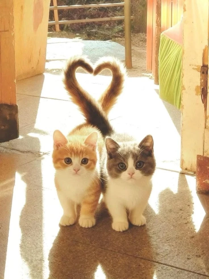 Дорогие друзья! ❤️