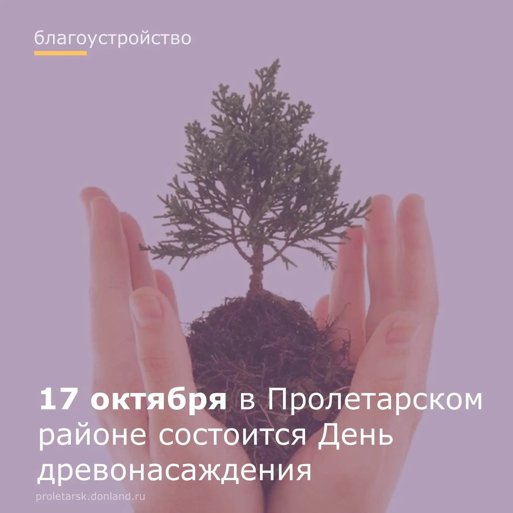 📝В соответствии с постановлением Правительства Ростовской области от 13.04.2012 № 281 ...
