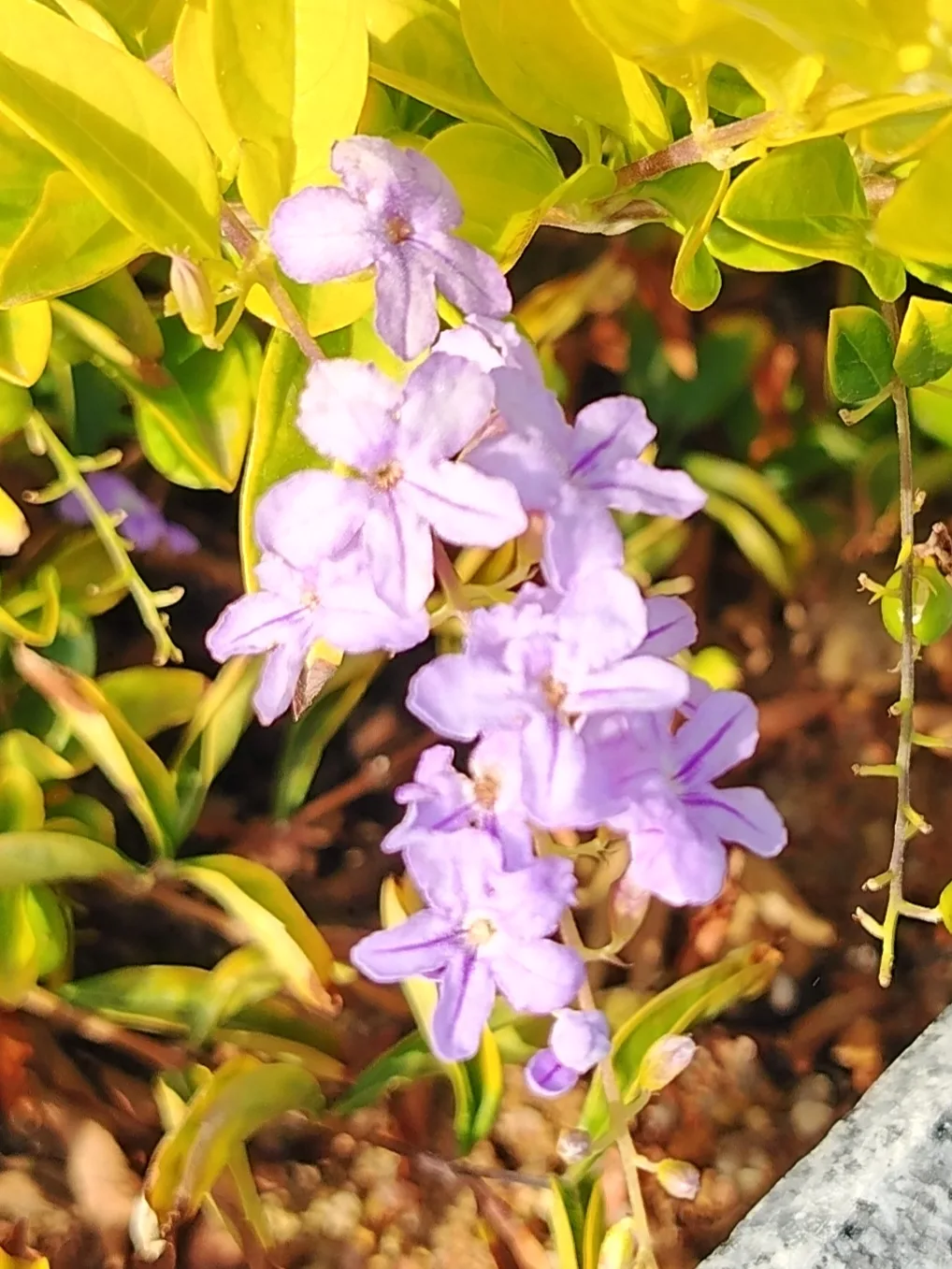 Доброе утро! Отличных вам выходных! 🤗 🌺🌞